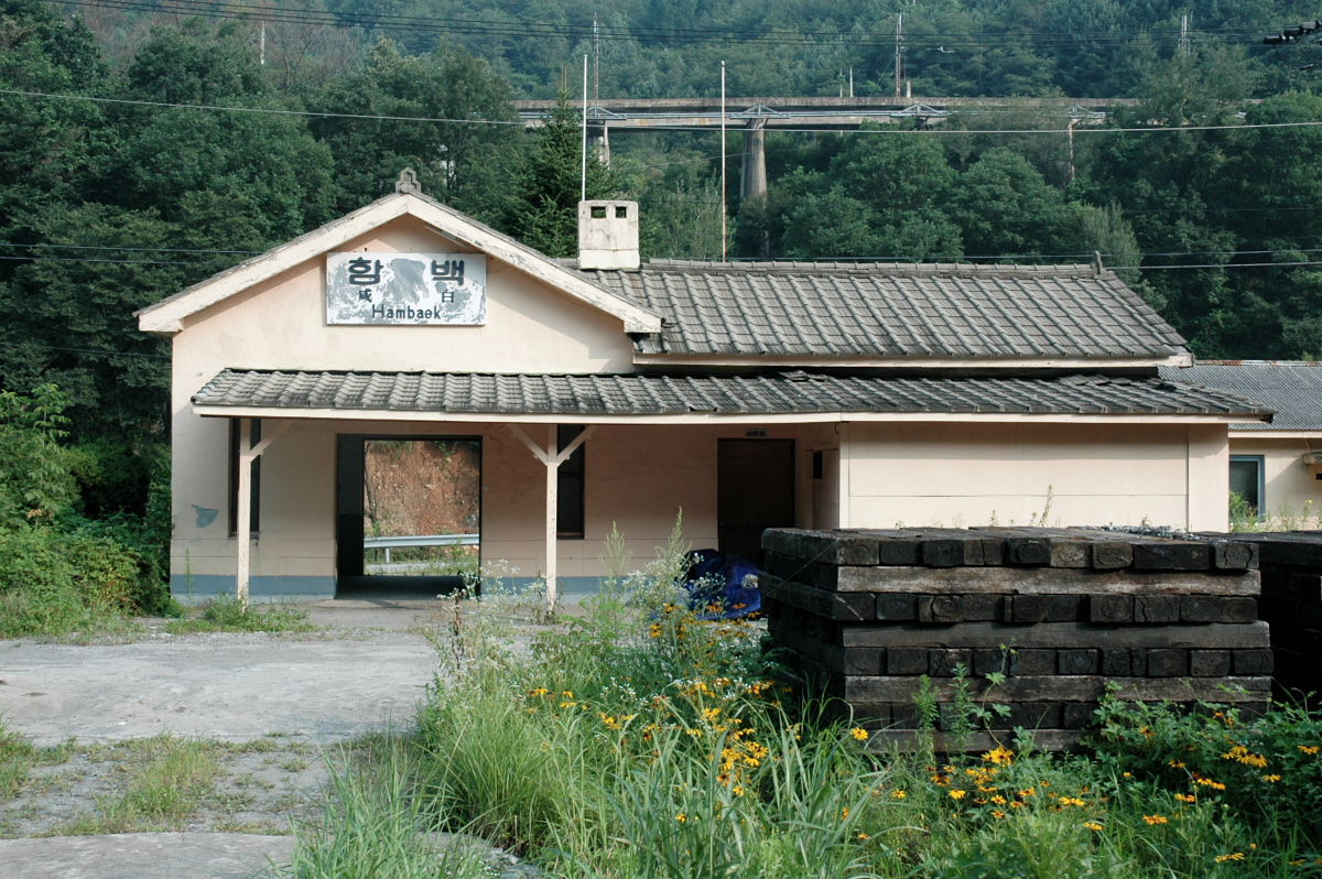 hambaek2.jpg