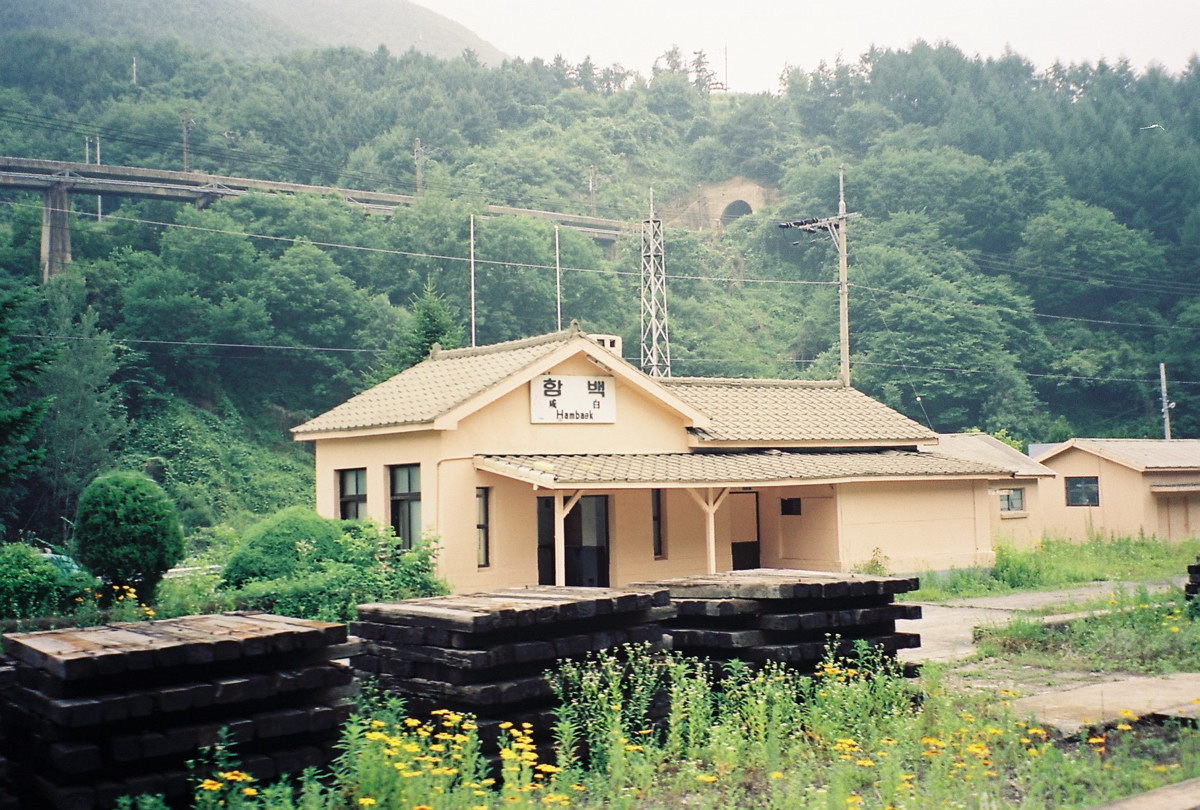 hambaek3.jpg