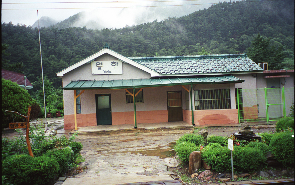 yeonha1.jpg